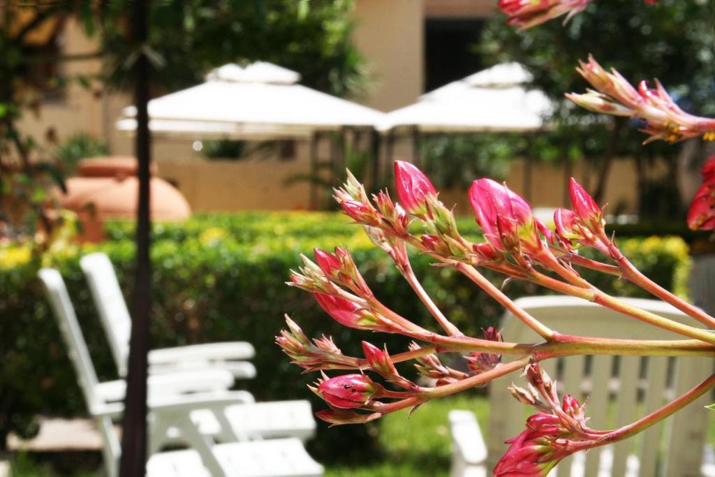 Solemare Accommodation Alghero Eksteriør billede